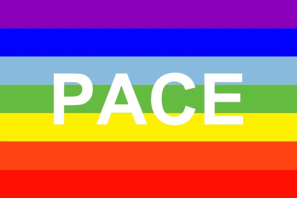 Pace rainbow flag peace sign