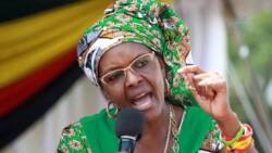 Grace Mugabe loses state security - Report