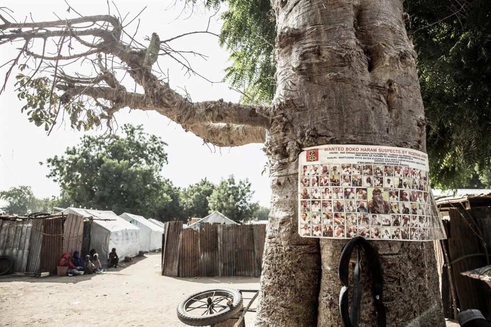 History of Boko Haram
