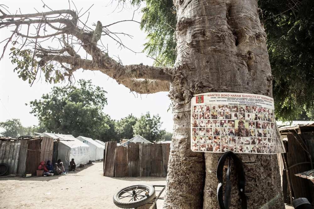 History of Boko Haram History of Boko Haram