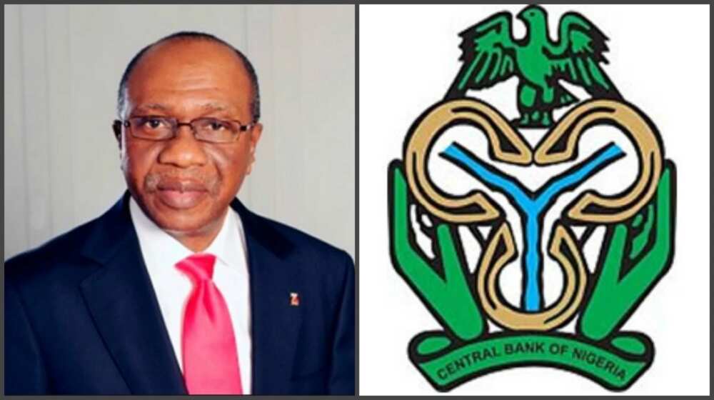 Godwin Emefiele biography: state of origin and family