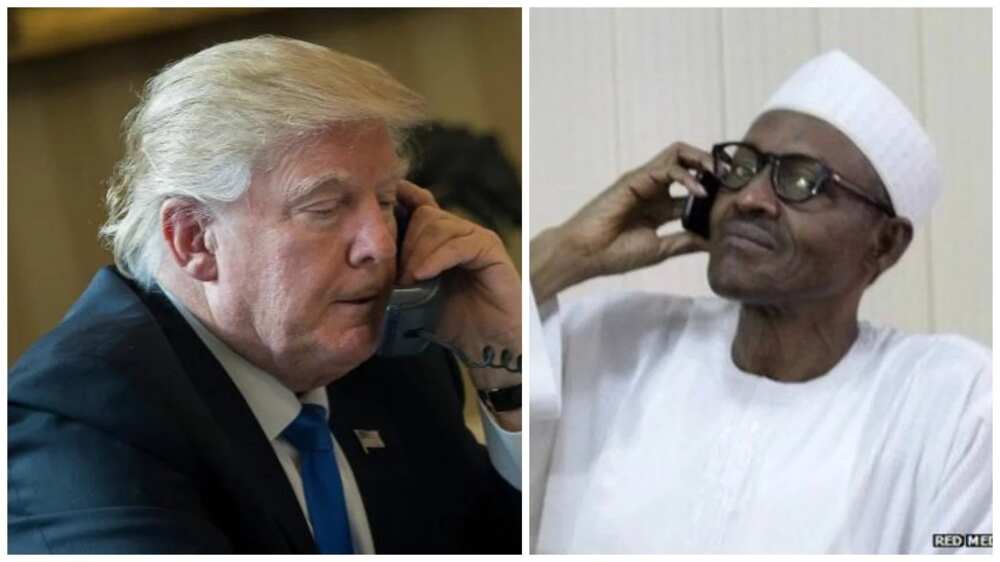 Why Nigerians should not believe presidency over Trump’s ‘phone call’ - Group
