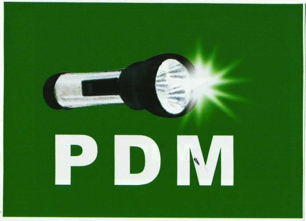 PDM party