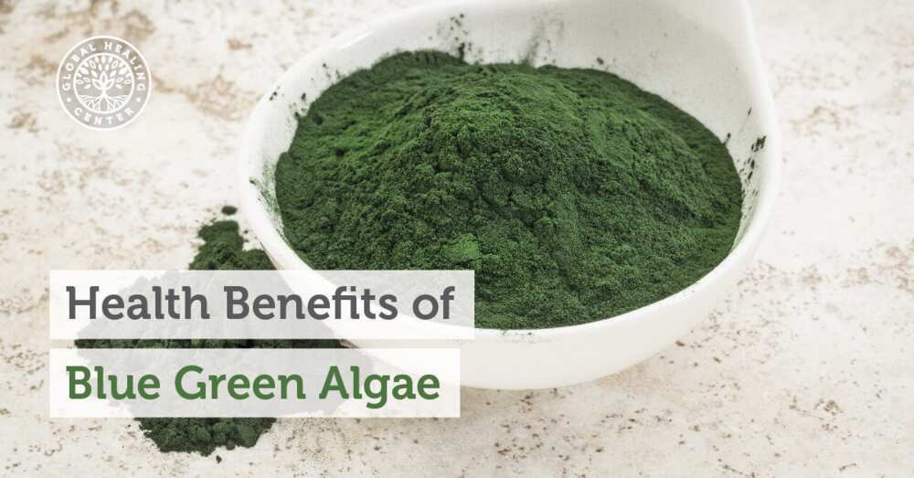 Medical importance of algae Medical importance of algae