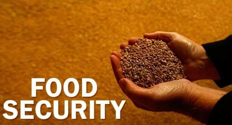 Importance of food security in Nigeria