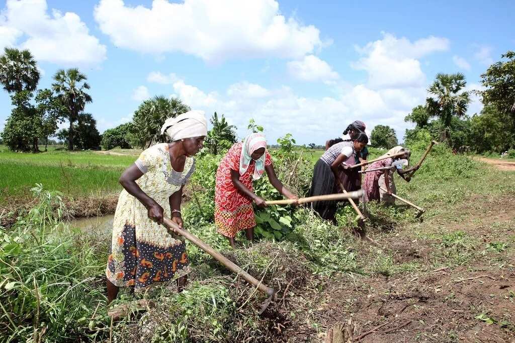 7-land-tenure-system-in-nigeria-its-categories-and-characteristics