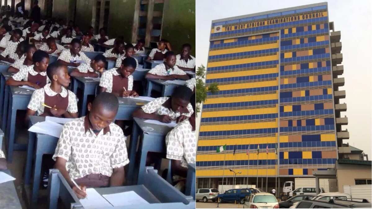 Just in WAEC announces date for release of WASSCE results Legit.ng