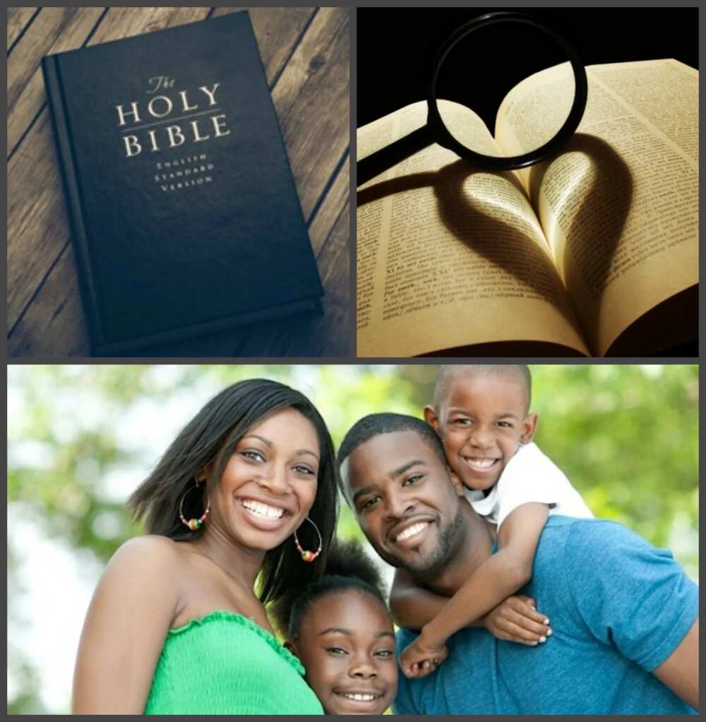 Prayer Points For Family With Bible Verses Legitng - 