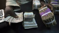 Nigerian government borrows over N6trn to save naira from further depreciation, repayment date approaches