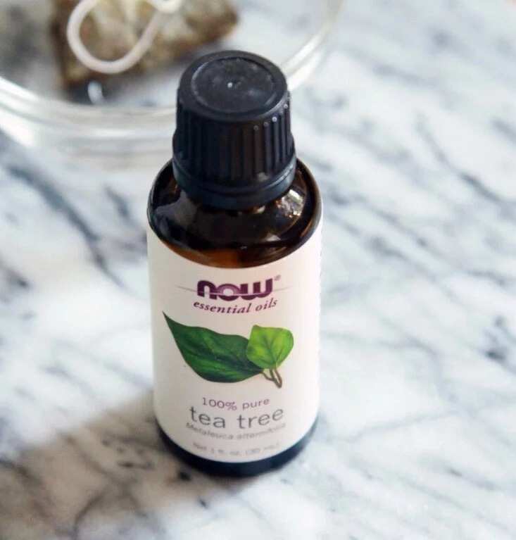 oil from itching oil from itching