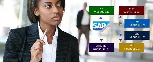 SAP training in Nigeria: courses and cost