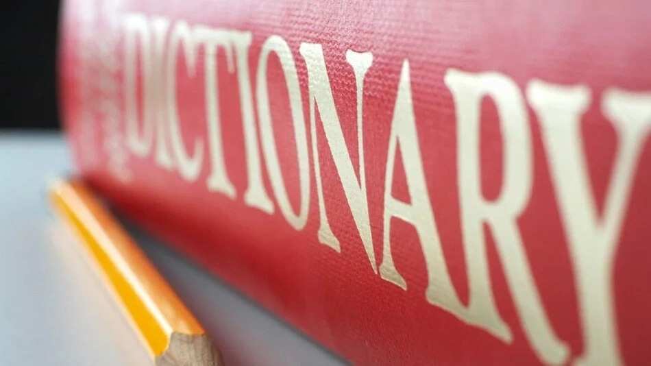 Dictionary usage Dictionary usage