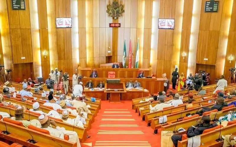 Senate pushes for Diaspora voting in 2019