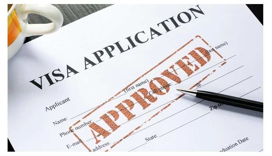 Ireland visa application requirements in Nigeria Legit.ng