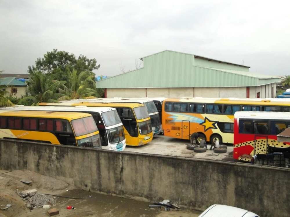 5 die as luxury bus collides with lorry