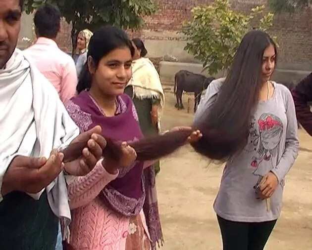 Longest hair in the world Legit.ng