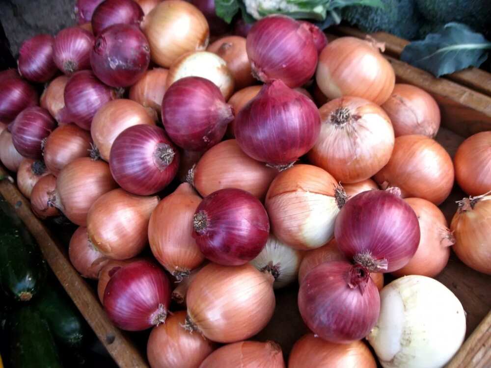 Amfani 5 na ruwan albasa wajen gyaran gashi Amfani 5 na ruwan albasa wajen gyaran gashi