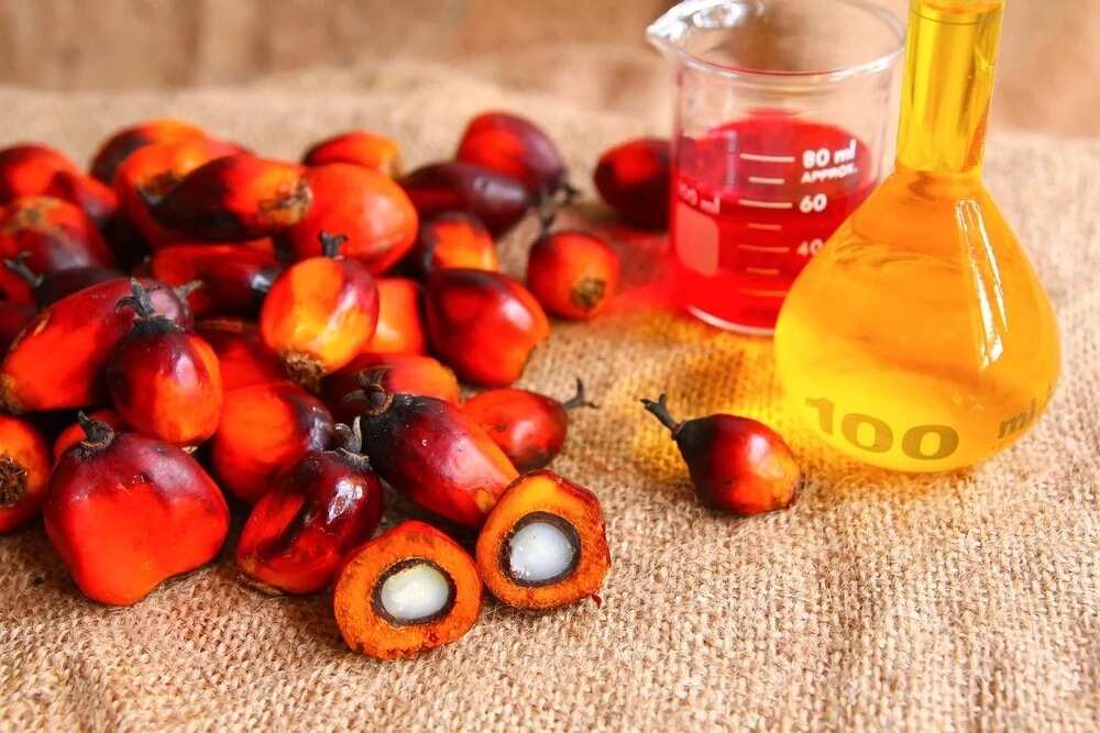 Authentic Pure Unrefined Palm Kernel Oil Adin Dudu, Aki up to 300g from  Nigeria