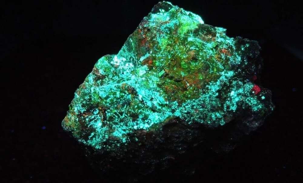 Fluorescent uranium ore