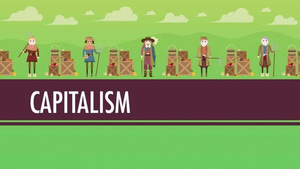 the-6-types-of-capitalism-with-examples