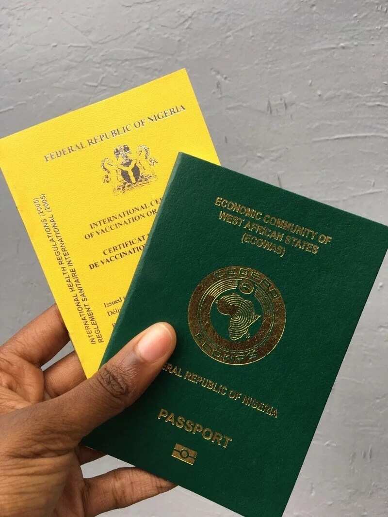 Check Nigerian Passport Number