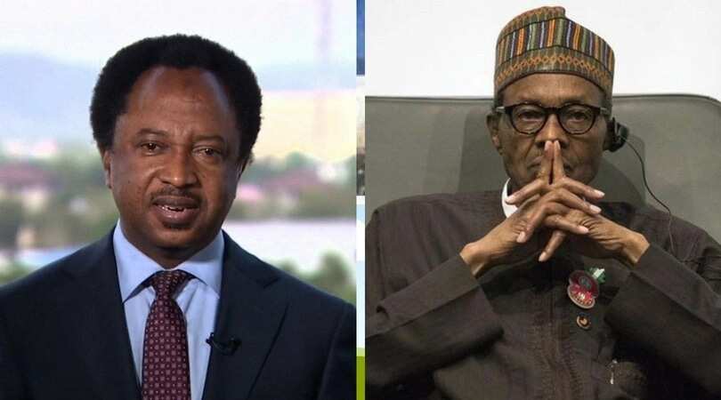 SGF giving Buhari's administration a bad name – Minister