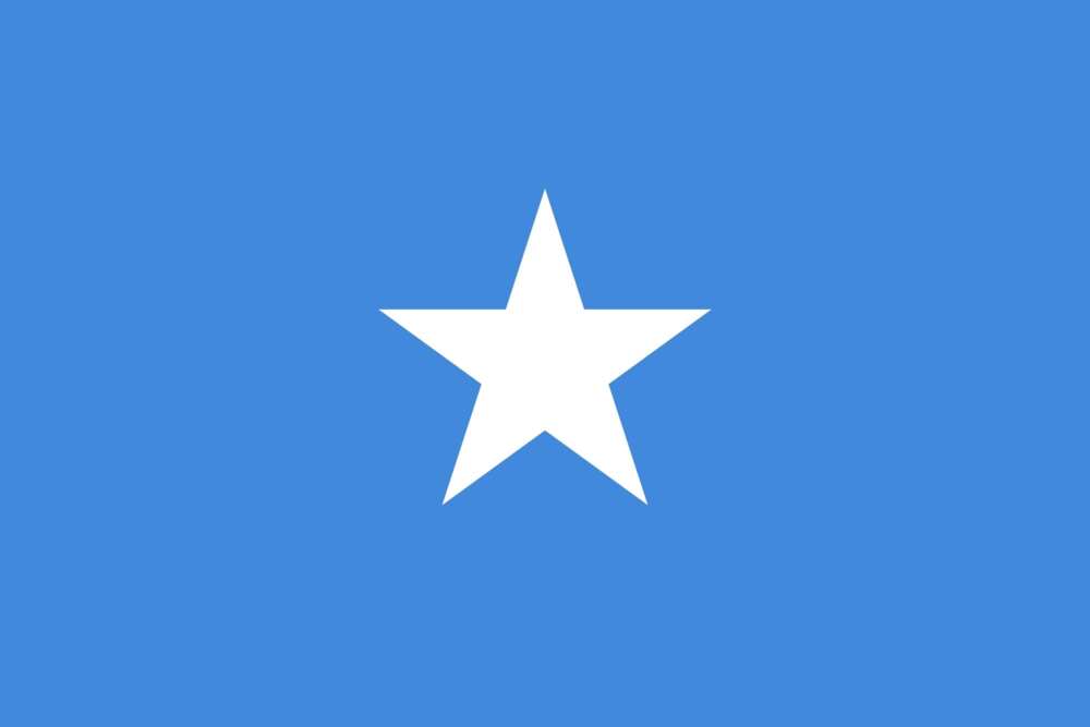 Flag of Somalia