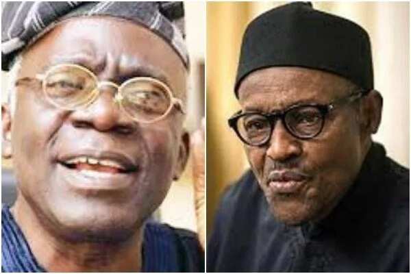 If you are going into public office, you have no secrecy, Falana speaks on Buhari health