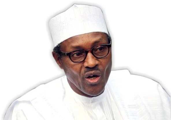 I Will Go Slow And Steady - Buhari