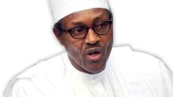 Buhari Blows Hot Again, Identifies Another Sector With Deficiencies, Orders Immediate Probe