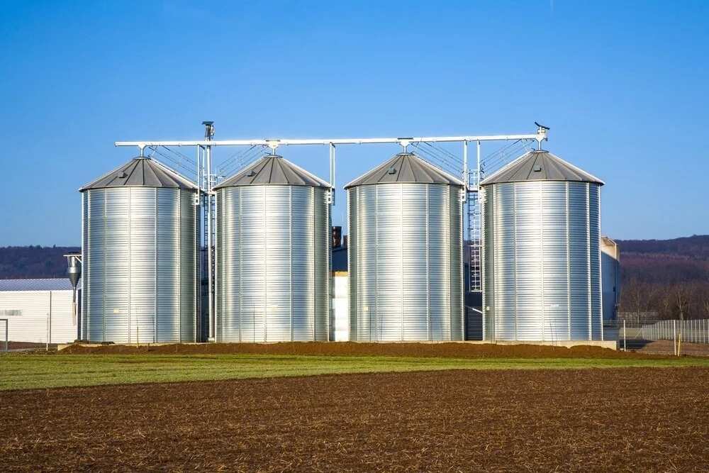 types-of-farm-structures-and-their-uses-in-2019-legit-ng