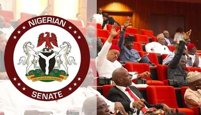 Number of senators in Nigeria