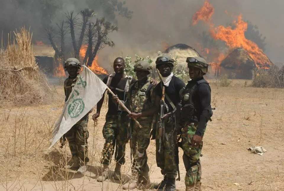 800 Boko Haram members surrender to Nigerian army