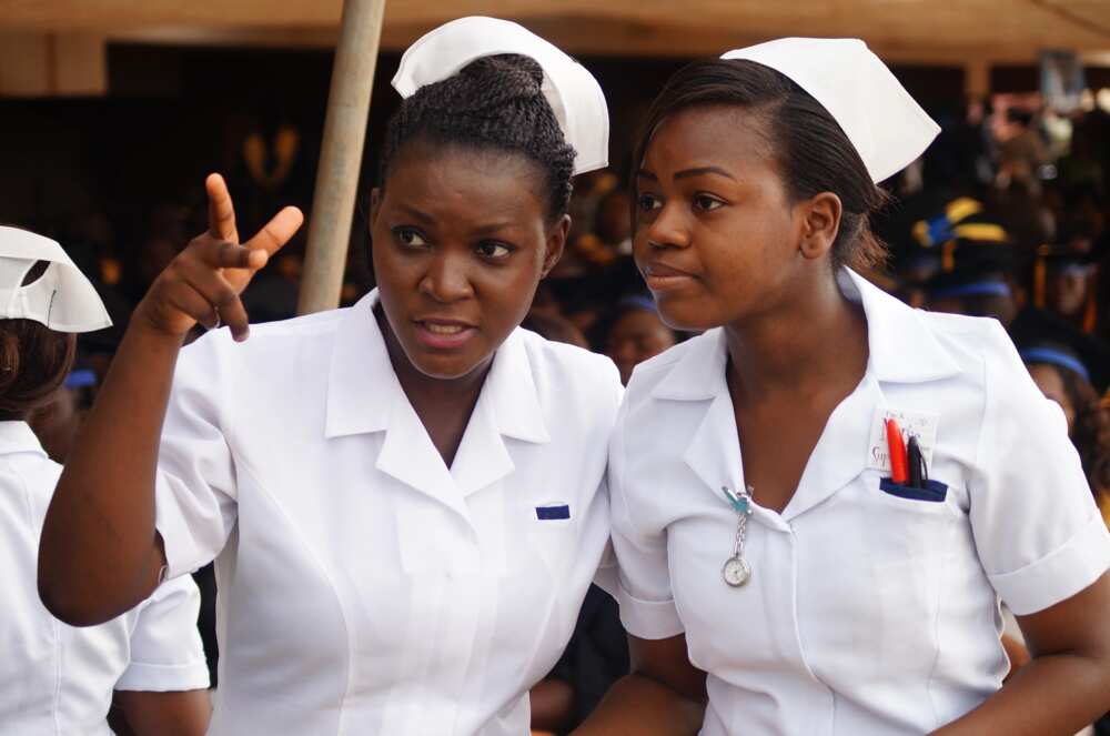 Nursing schools in Nigeria and their locations ▷ Legit.ng