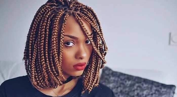 How to style short box braids: Step-by-step guide Legit.ng
