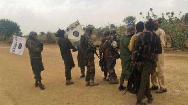 Assha: Boko Haram sunyi wa wasu mutane 7 yankan rago yayin da suka shiga daji neman itace