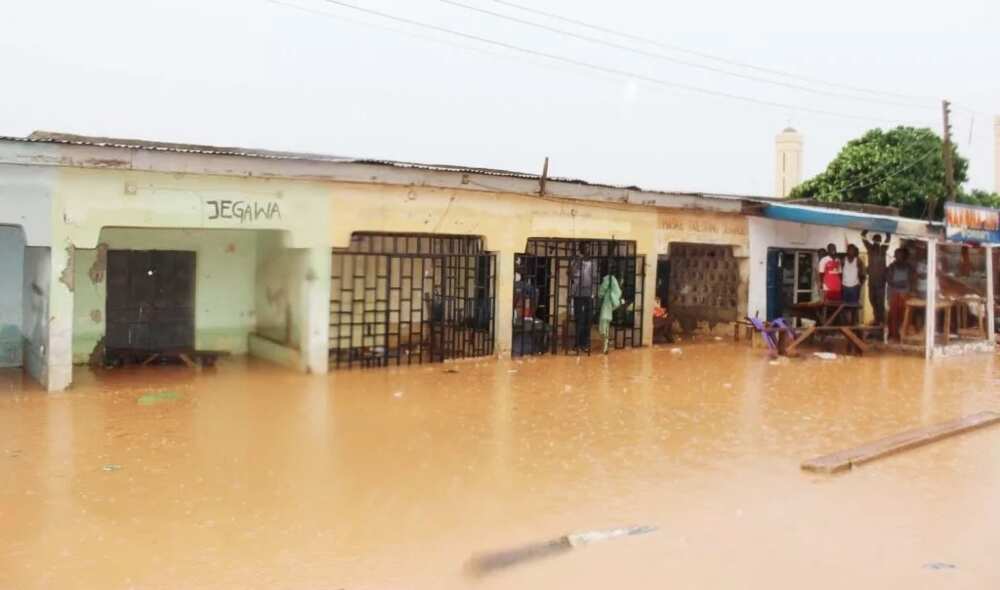 Flood Nigeria business