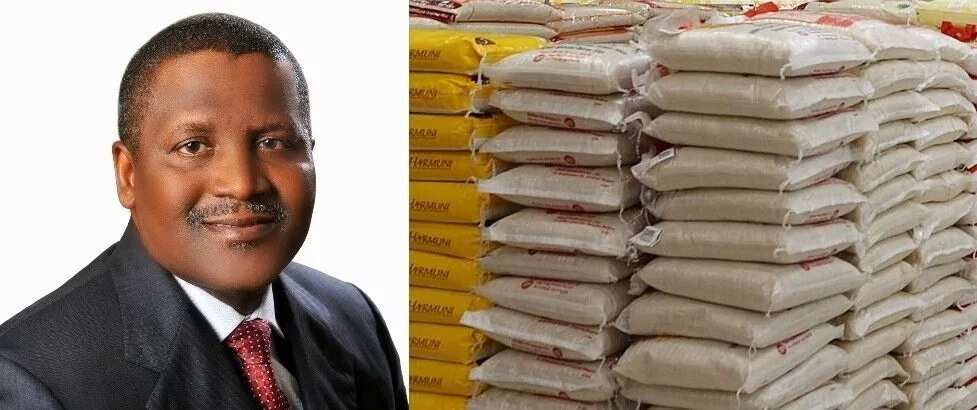 Dangote zai gina kamfanin suga da na shinkafa a arewacin Najeriya Dangote zai gina kamfanin suga da na shinkafa a arewacin Najeriya