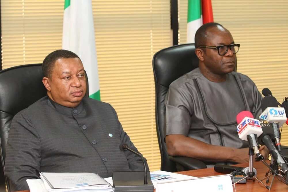 I nominated Barkindo for OPEC job because he has the ‘madness’ to work there - Kachikwu