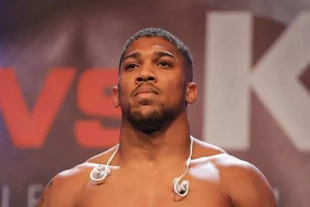 Anthony Joshua's biography, family and path to success Legit.ng