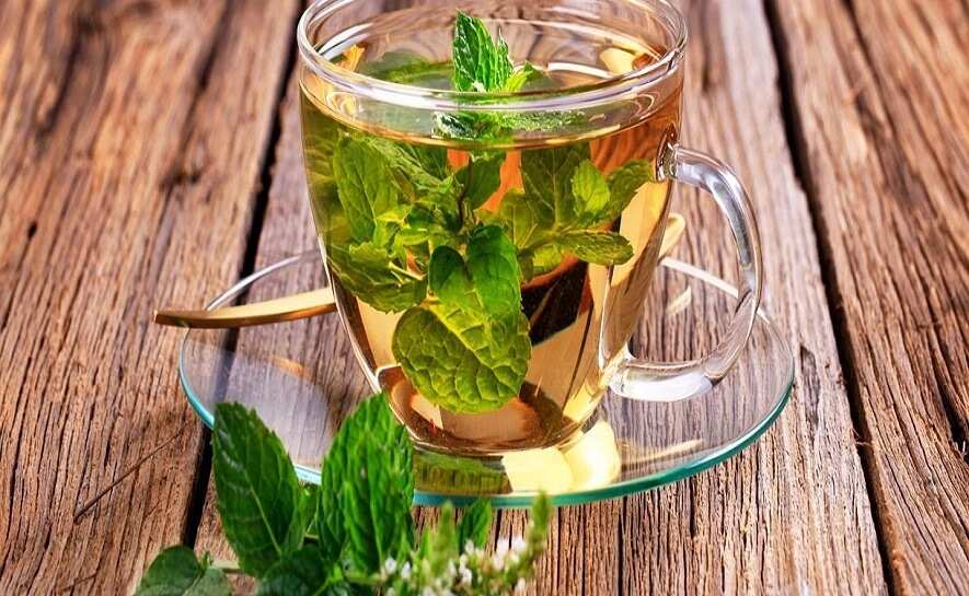 How to use mint leaves for weight loss Legit.ng