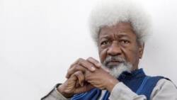 Soyinka lauds UNN for honouring him with Lifetime Achievement award