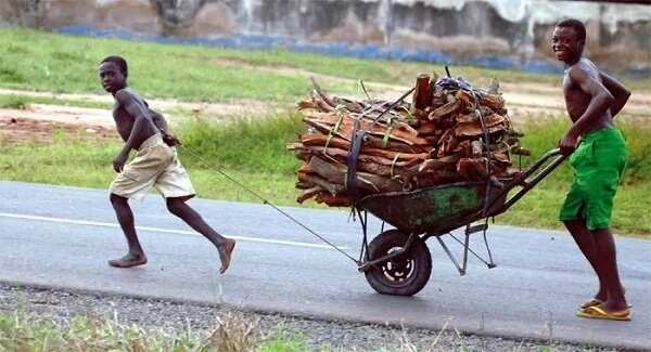 Child labour in Nigeria