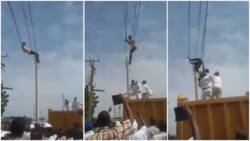 Man who climbed high tension cable to take his life saved by good men (video)