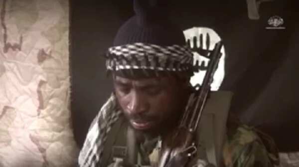 Boko Haram leader Shekau says in new video that he is alive and not wounded