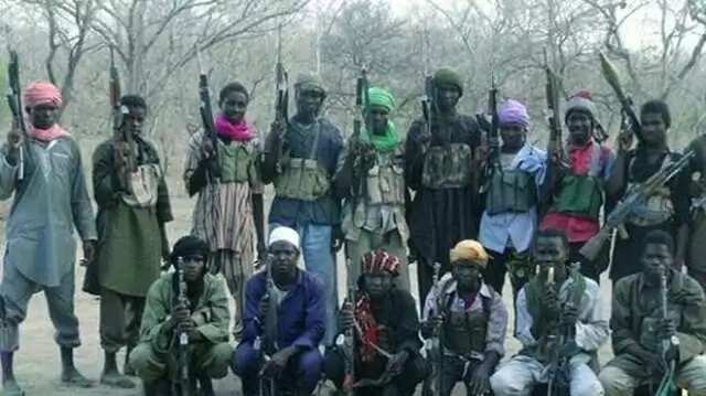 Boko Haram attacks Borno again, scores feared dead