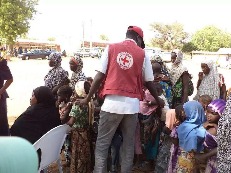 Abun tausai: Uwa ta hadu da danta shekara 7 bayan rikicin Boko Haram ya raba su (Hotuna) Abun tausai: Uwa ta hadu da danta shekara 7 bayan rikicin Boko Haram ya raba su (Hotuna)