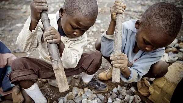 Child labour in Nigeria