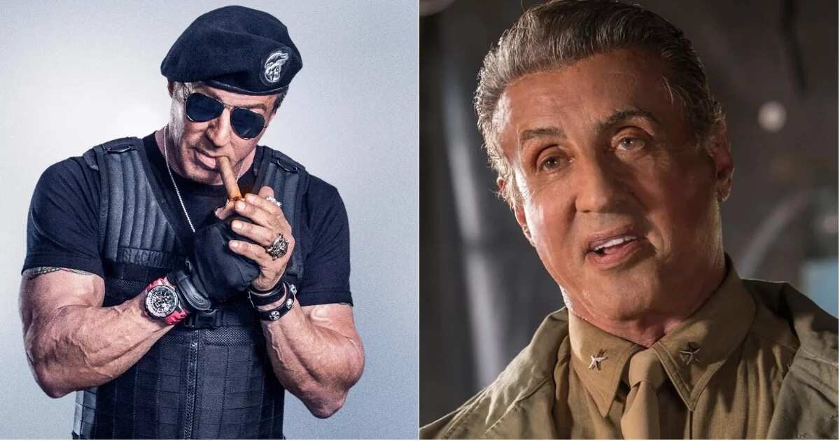 Is Sylvester Stallone dead or alive? Legit.ng