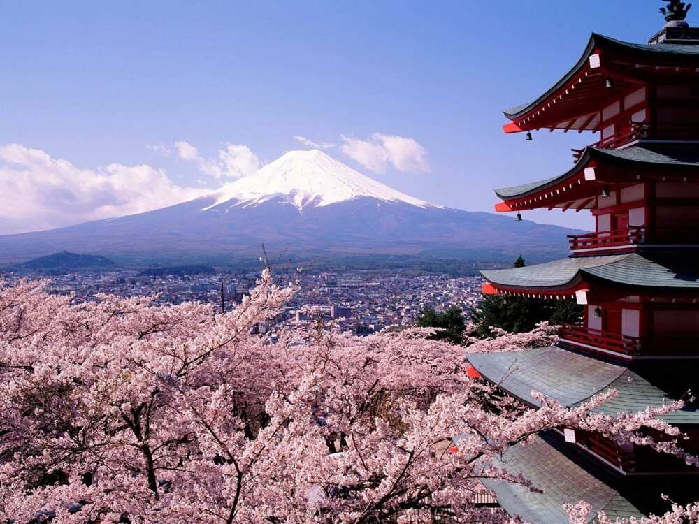 Kyoto